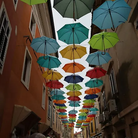 Grgic By Interhome Appartamento Novigrad Istria